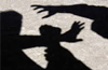 Karkala : Suspected Bajrangdal men thrash duo transporting buffaloes